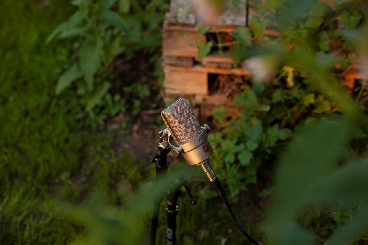 Image: A microphone surrounded by green plants in an allotment. Image credit: Adele Mary Reed.